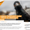 Photo de paul05et53