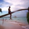Photos de australe