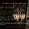 Photos de joet188