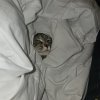 Photos de naym