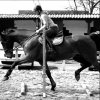 Photos de penassen