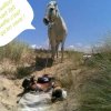 Photos de hopsex