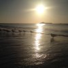 Photos de epicurieurx