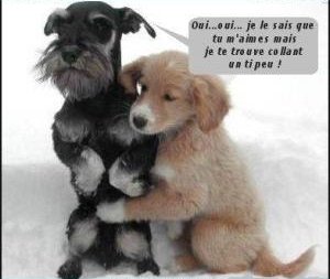 Photos de rienpourplaire