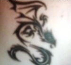 Photos de julio.la.guivre