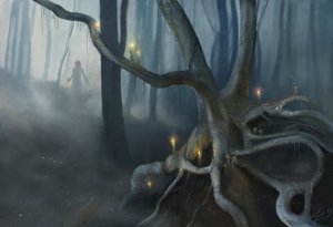 Photos de 4raignee