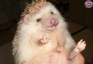 Photos de polis.sonne