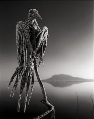 Photos de charon