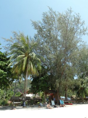 Photos de ketie.ketie