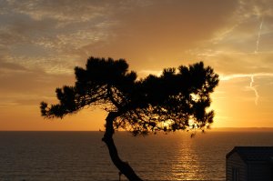 Photos de celtic.legend