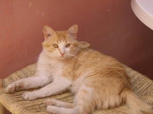 Photos de saharasoul
