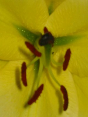 Photos de quentinetsonia