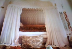 Photos de antiwana
