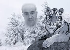 Photos de kaderkacimi