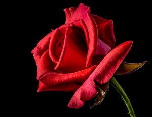 Photos de joy63