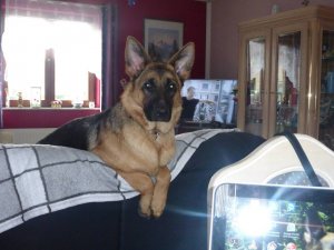 Photos de mrpatrick542