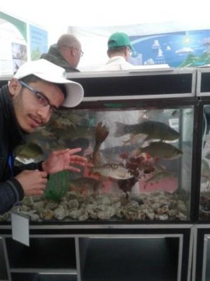 Photos de stifdah12