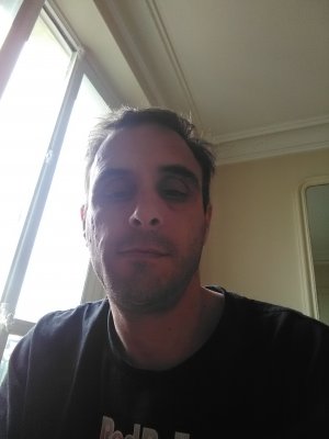 Photos de fraise13000