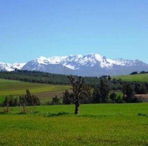 Photos de anir-1