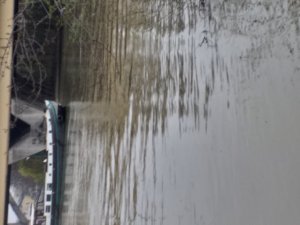 Photos de sado_755