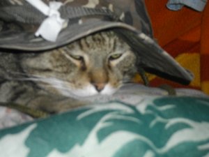 Photos de lutaindeself