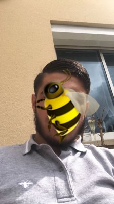 Photos de suuggo