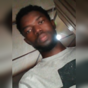 Photos de merlekomivi