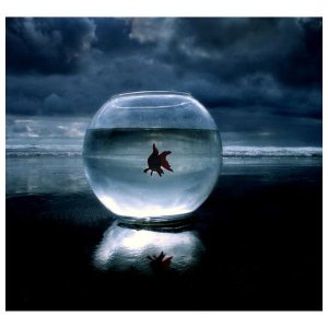 Photos de jour.de.pluie.et.soleil