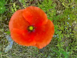 Photos de antoinegeorges80