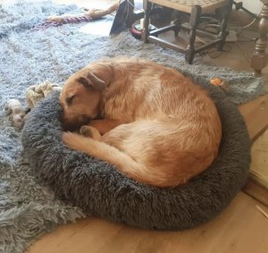 Photos de sylvie.burni