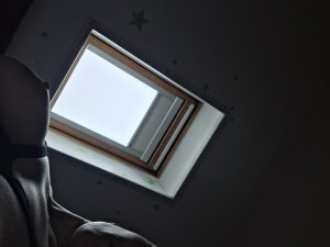 Photos de hairytales