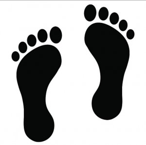 Photos de piedvend-vend