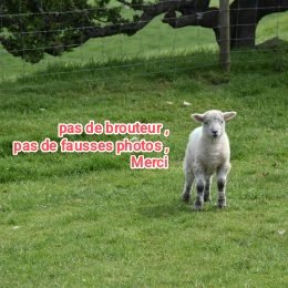 Photos de amplitude