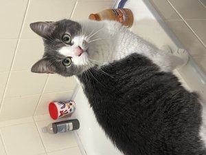 Photos de ginny2018