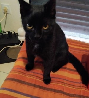 Photos de cmoi35500