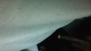 Photos de lolo2222222222234