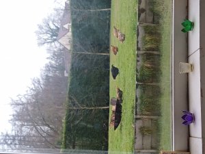 Photos de blancheneige45