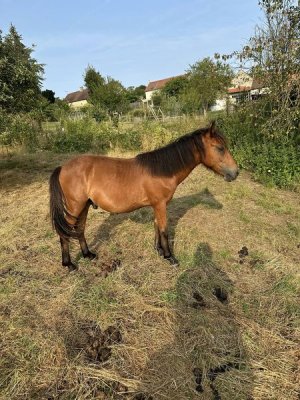 Photos de loane234