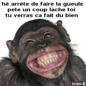 Photos de charle84