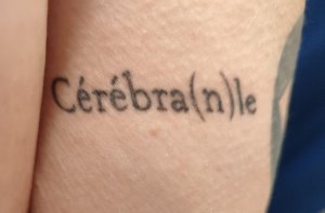Photos de cerebranle