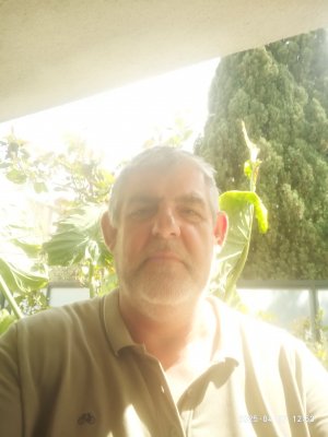 Photos de svsei