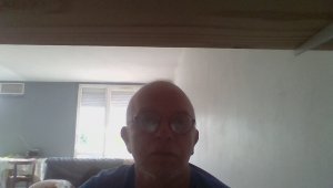 Photos de ornitorinx