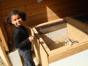 Photos de angellalacours