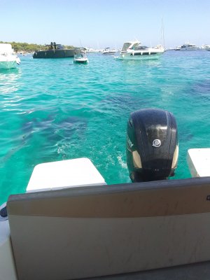 Photos de virginiedusud