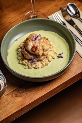 Photos de phileas22100