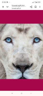 Photos de sammmyslasss