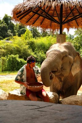 Photos de chupa_chups83