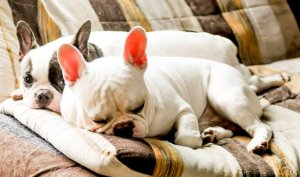 Photos de enyaaofficial12