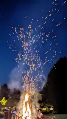 Photos de tomdesbois