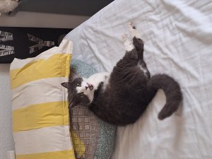 Photos de bonjourtoi13